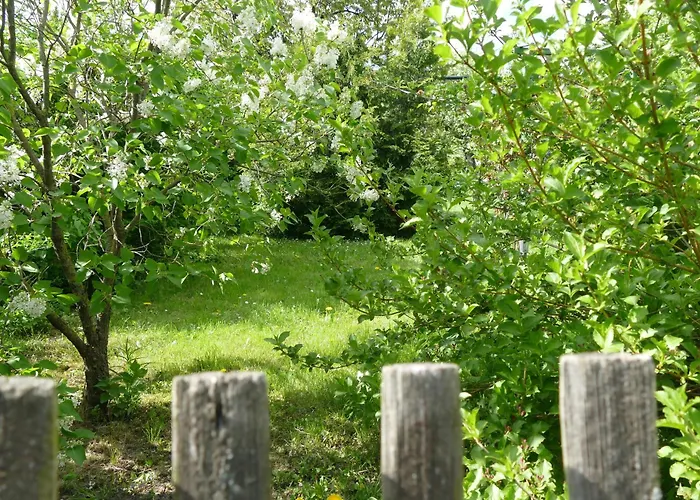 Spatzennest