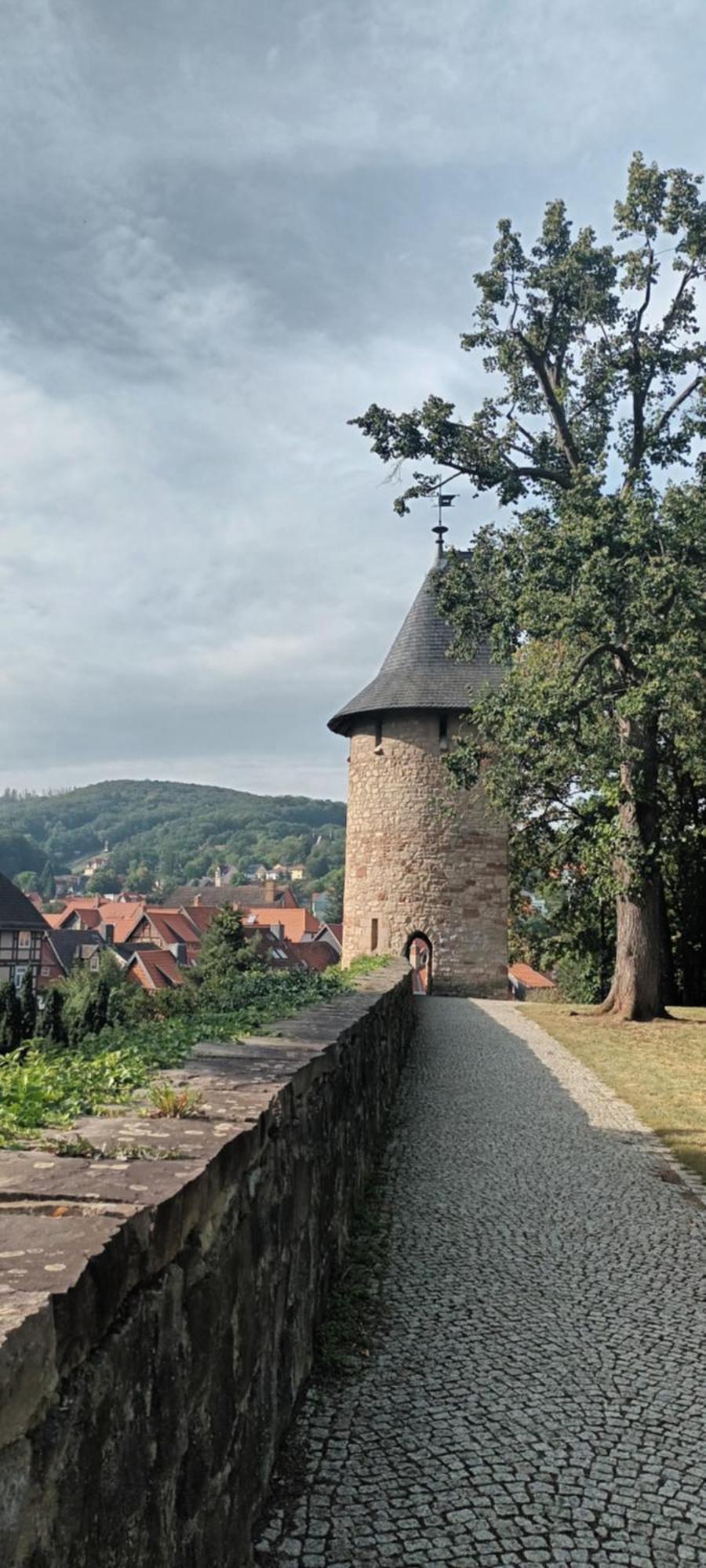 Spatzennest